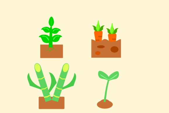 Farm Plant Illustration: Vector Art for Design